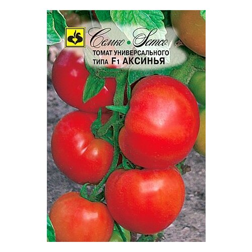 ���� ������ ����� ������� F1 10�� ������� ������ (�����) ������ ������