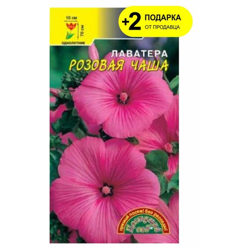 ���� ������ �������� ��� 