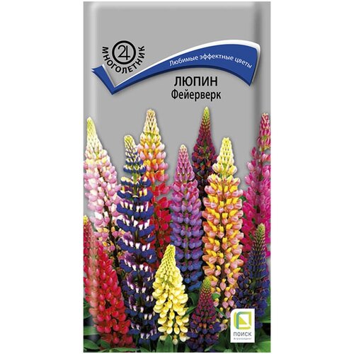 ���� ����� ��������� ������ ������