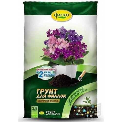 ���� ����� ��� ������ ����� ��������� ������� 2,5� ������ ������