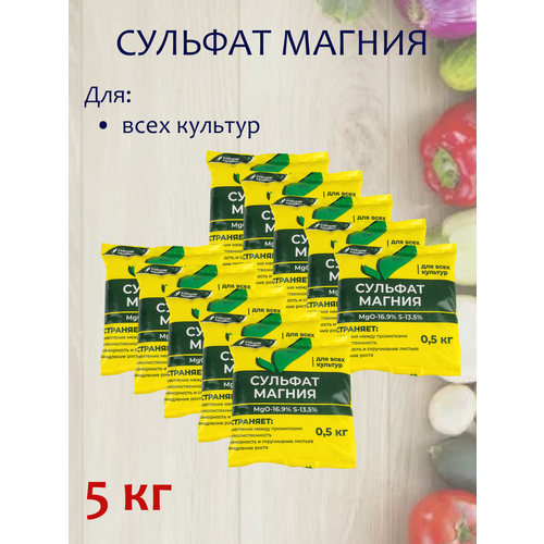 ���� 5�� ��������� ����������� ������� ������ 500� �10�� ������� ���������� ����� ������ ������