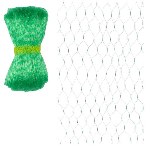 ���� ����� �� ���� ������ 2 ����� ����� 5 ������, ������ ������ 1,5*1,5 �� ��������� 7 ��/�2 ������ ������