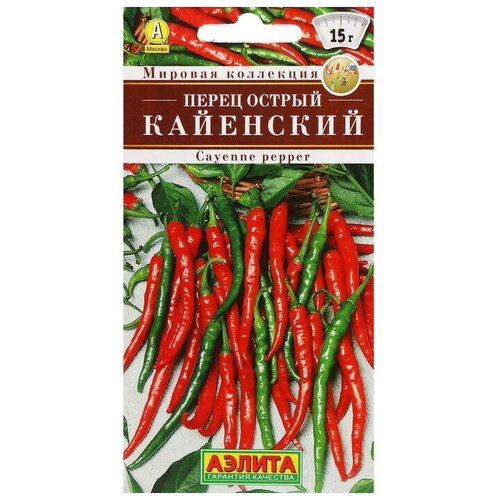 ���� ������ ����� ������ 