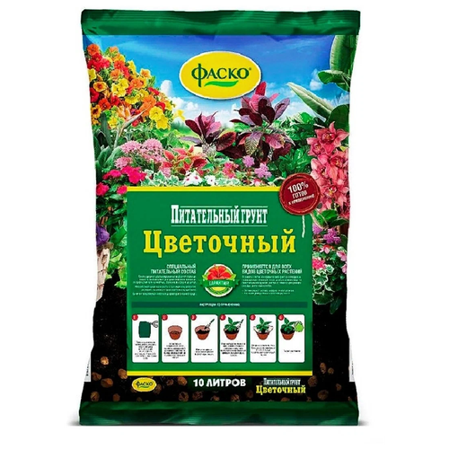 ���� ����� ����� ���������, 10 �, 4 �� ������ ������