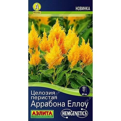 ���� ������ ������� �������� �����, ����������, (������) 7�� Hem Genetics ������ ������