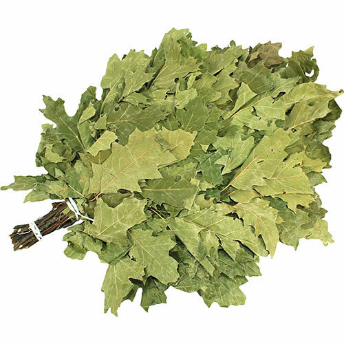 ���� ����� �� ���� ���������� ������ ������