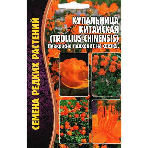   , Trollius chinensis,  ( 1 : 20  )   -     , -, 