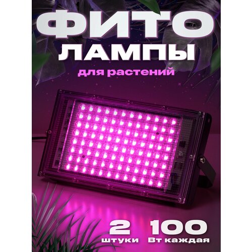 ���� Ocean of Light, ��������� ����� ��� ��������, ���������������� ����� ������������, ��������� ��� ������� ������ ������