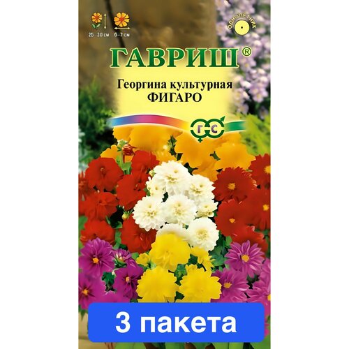 ���� ����� �������� ������ 3 ������ ������ ������