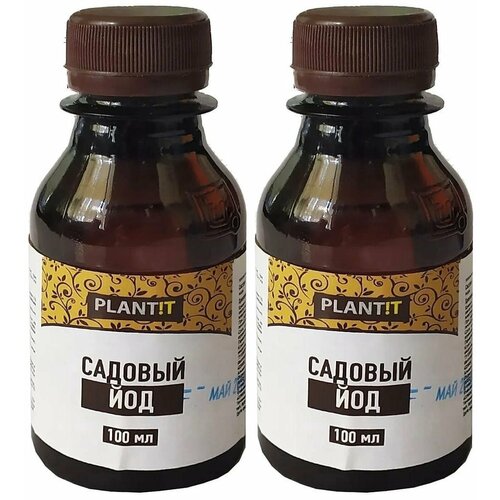 ���� ��� ������� �� ����������� �� �������, ���, ���� 