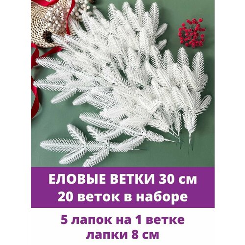 ���� ������ ����� � ����� ������������� ��� ������, 5 ����� �� �����, ����� 30 ��, 20 ����� ������ ������