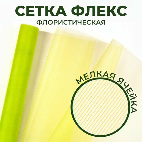 ���� �������� ��� ������ � �������� ����� 