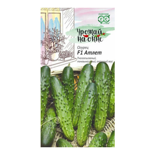 ���� ������ ������ ����� F1 10�� �� (������) ������ ������