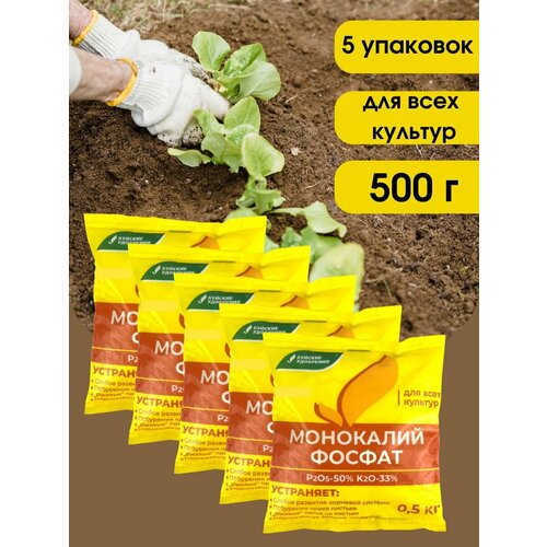 ���� ��������� ��������������� (���������� �����), 2,5 ��. ������ ������