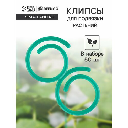 ���� ������� ������� ��� �������� ��������, � ������ 50 ��, �������, ������, Greengo ������ ������