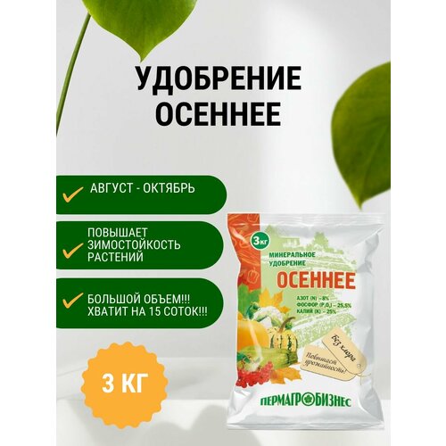 ���� ��������� ������� 3 �� ������ ������