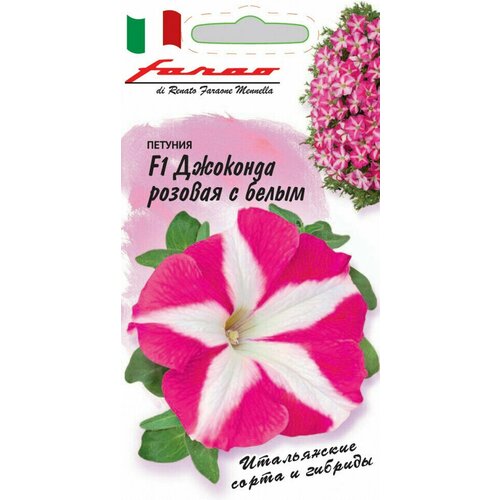 ���� ������ ������� ��������� (��������) �������� ������� � ����� F1, 10��, ������, Farao ������ ������