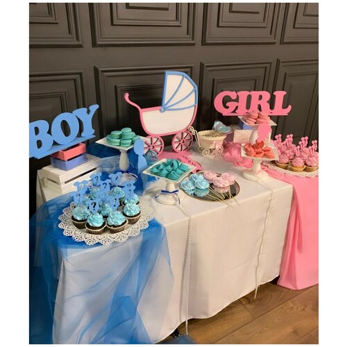     BOY or GIRL gender party,  ,     ,      -     , -, 