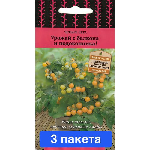 ���� ������ ������ ����� 