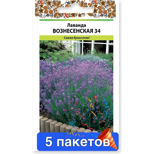 ���� ������� ������������ 34 5 ������� ������ ������