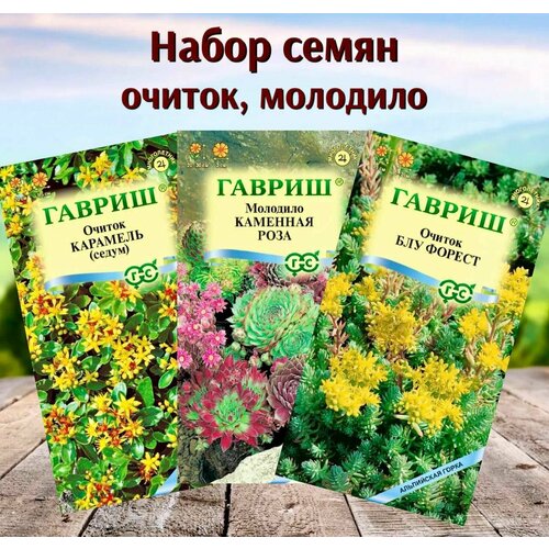 ���� ������ ������ ������ �������� ����� 3 ��. ������ ������