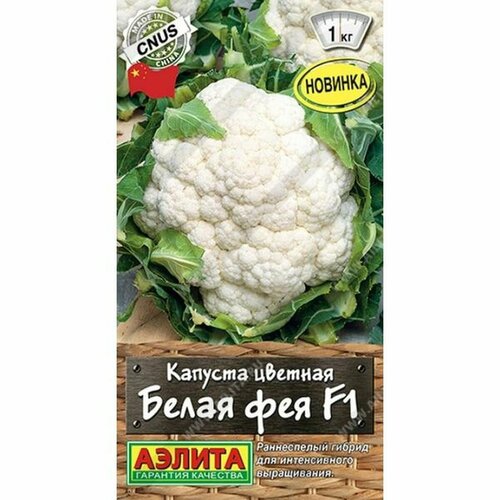 ���� ������ ������� ������� ����� ��� F1 (�����������) (������) 10�� ��� ������ ������