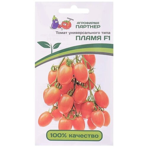 ���� ������ ����� ����� F1 