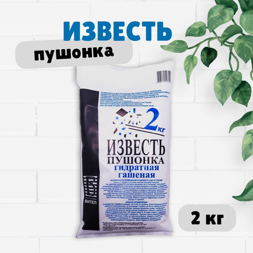 ���� ������� ������� ����� ��������� �������, 2 ��. ������ ������