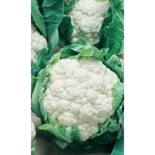 ���� ������ ������� ������� �������� 123 0,25�� (��) �/� ������ ������