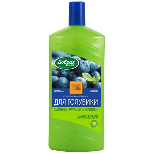 ���� ��������� ������ ���� ��� �������� � ������ ����, 1 �, 1000 �, 1 ��. ������ ������