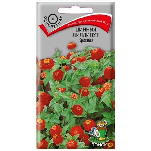 ���� ������ ������ ����� ����� ������� �������, 0,4 � ������ ������