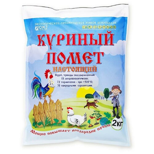 ���� ��������� �������� ������� - 1 ������� ����� ���������, 2 �, 2000 �, 1 ��. ������ ������