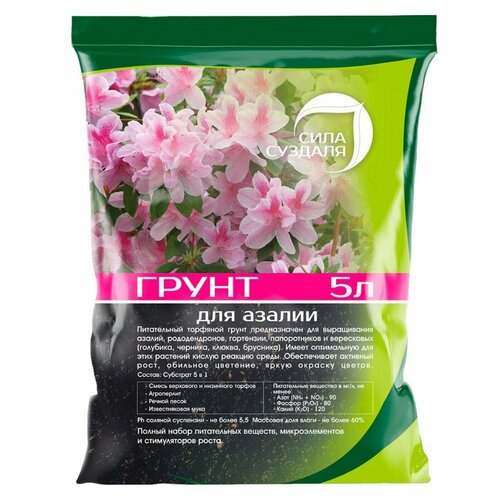 ���� ����� (�����) ��� ������, ������ � ������������ ���� �������/����������� �������� ��� ��������� ������, 5 � ������ ������