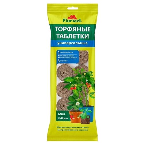 ���� �������� �������� ������������� ������ ������