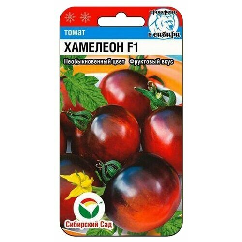 ���� ������ ����� �������� F1 15�� ����� ������ (��������� ���) ������ ������