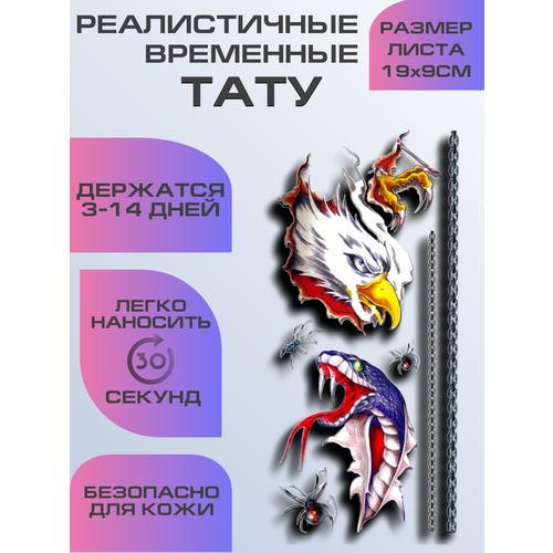 ���� ���� ���������� ��������������, ��������� ���� ������ ������