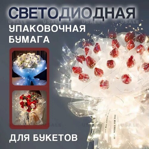 ���� ������������ ���������� ����������� ���������� ������ ���������� ���������� ��� ������ ���������� ������ ������