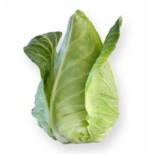 ���� ������������� ������ ������� �/� ���������� ������ F1 ������ ������