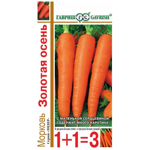 ���� ������ ������� ������� ����� 4� ������� (������) 1+1 ������ ������