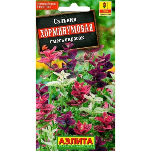 ���� ������ ������� �������� ������, ����������, ������ 70��, 0,3 � ������ ������