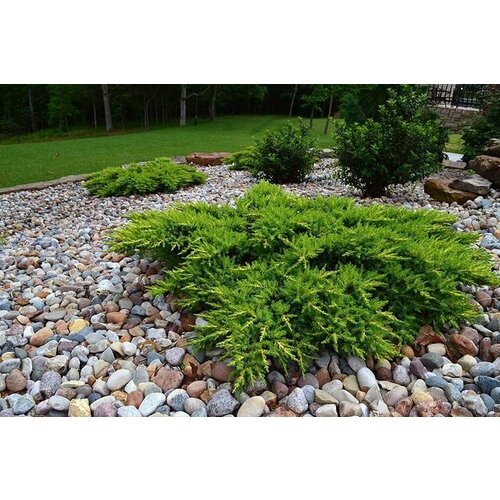 ���� ������������ ������������ ���� ������ ������ ������