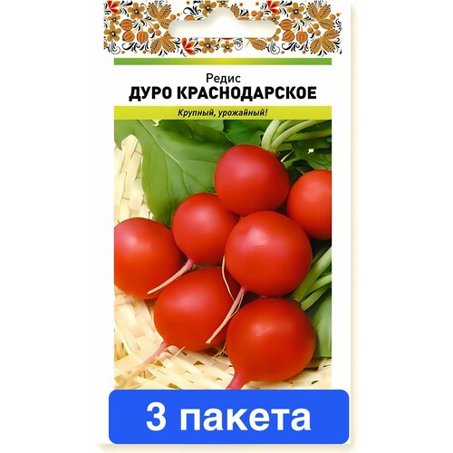 ���� ������ ������ ������� ������ 