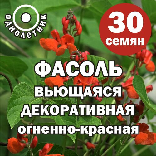 ���� ������ ������ ������������ ������ ������