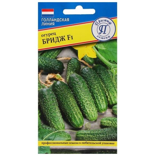 ���� ������ ������ 