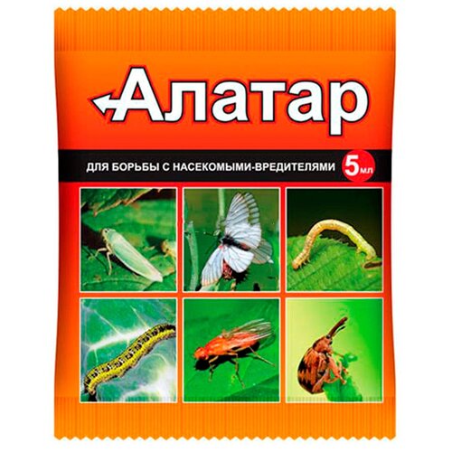 ���� ������ ��� ������ �������� �� ���������� 5 ��. �� ������������ ����, �������, ���, �������, �����������, ����������, ������� �����, ���� ������ ������