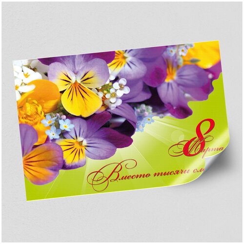 ���� ����������/������ �������������� �� 8 ����� / �-3 (42x30 ��.) ������ ������