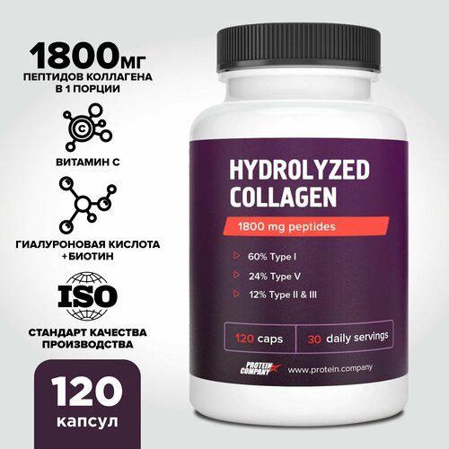 ���� �������� ���������� � ������������ �������� � ��������� � 1800 �� ��������. ��� ��������, ������, �����.120 ������ ������ ������