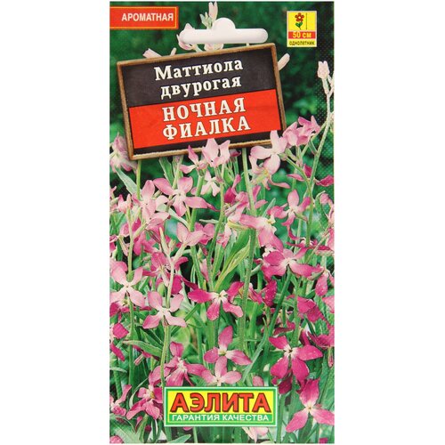 ���� �������� ������ ������ ������, 0.5 �, ������ ������ ������