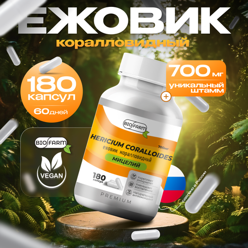 ���� ������ ������������� 700��, ������� ������ �������, hercium coralloides ������ ������