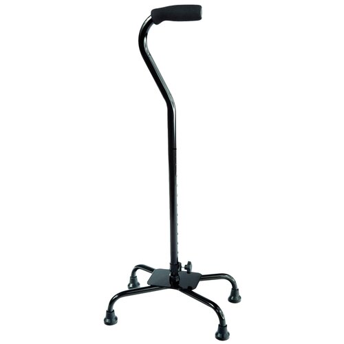 ���� ������ �������������� C Qlever L ������ ������